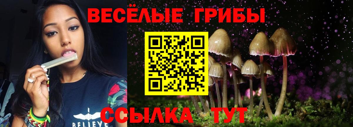 Галлюциногенные грибы Magic Shrooms  Вход с VPN  Калининград 